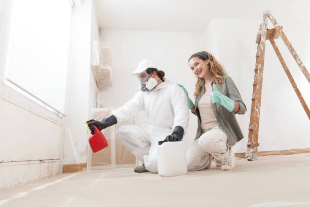 Best Emergency Mold Remediation  in Granite Falls, WA